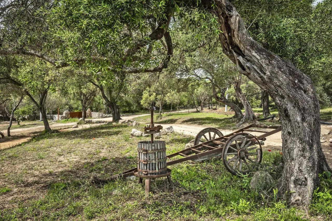 ארזח'ינה Uddastri Retreat איטליה