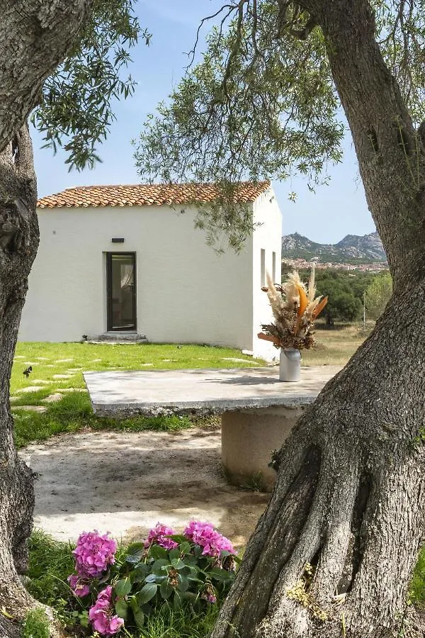 Bed & Breakfast Uddastri Retreat Arzachena
